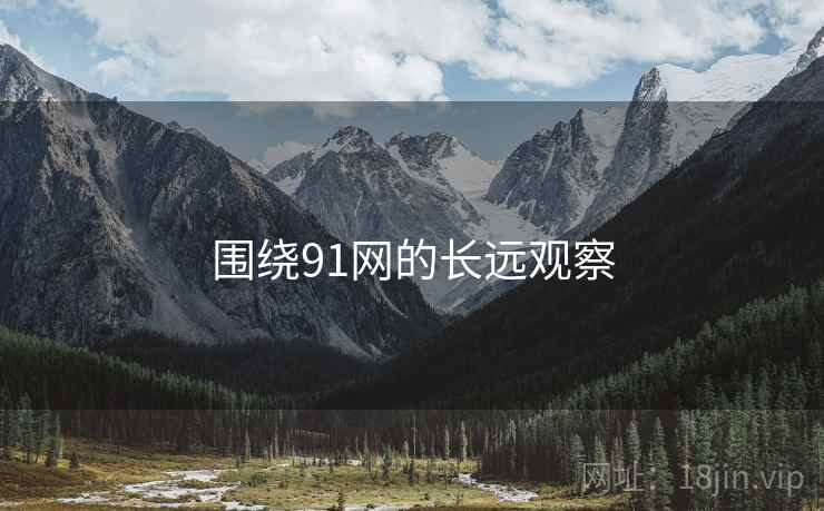 围绕91网的长远观察