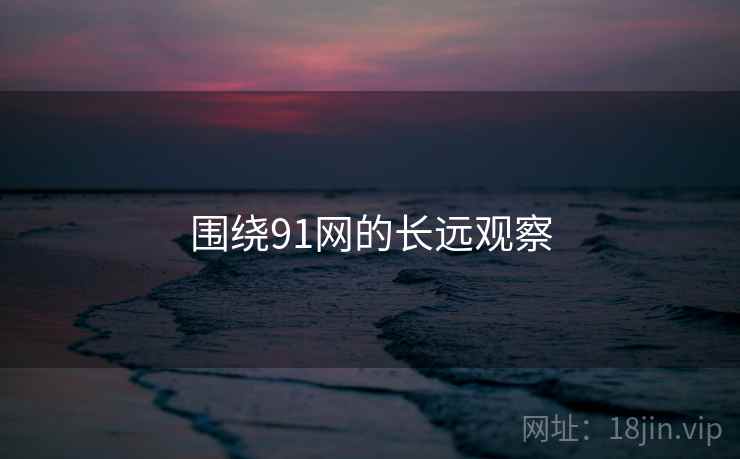 围绕91网的长远观察  第2张