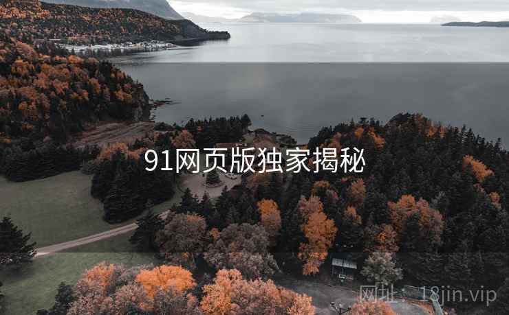91网页版独家揭秘