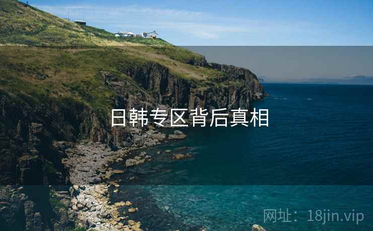 日韩专区背后真相