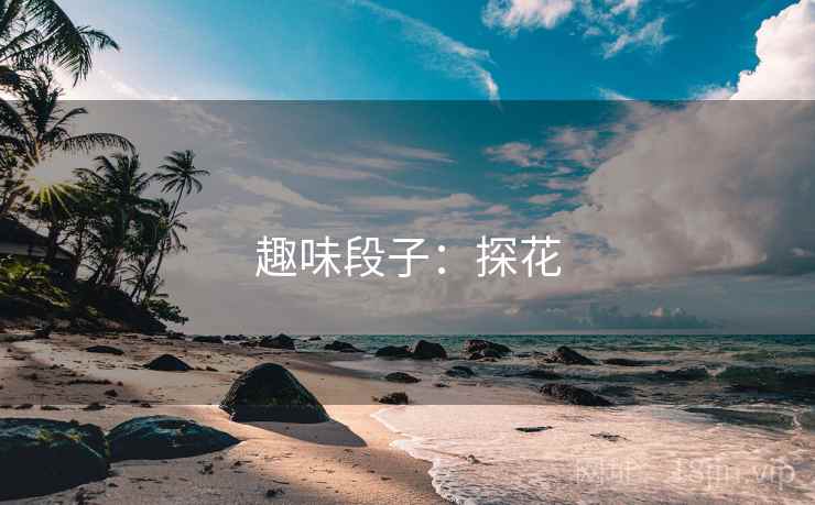 趣味段子：探花  第2张