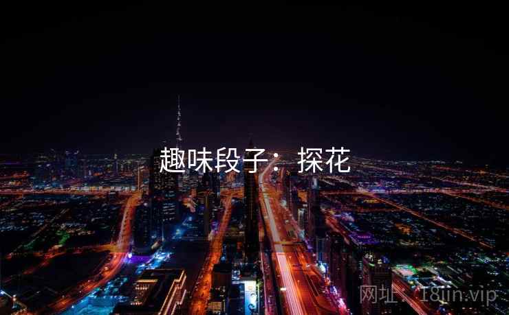 趣味段子：探花  第1张
