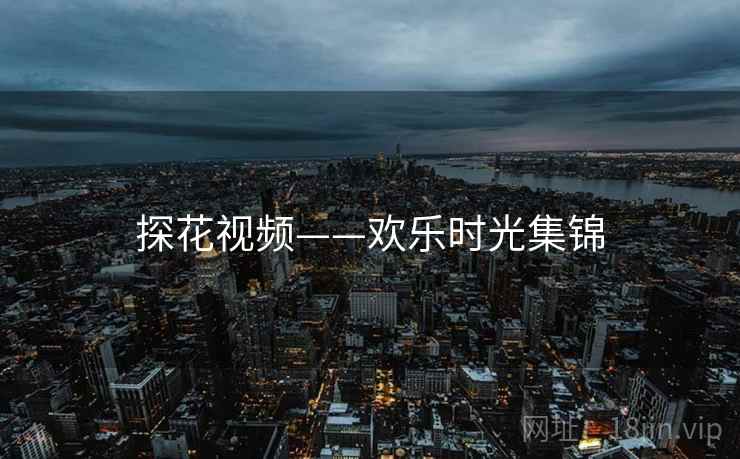 探花视频——欢乐时光集锦
