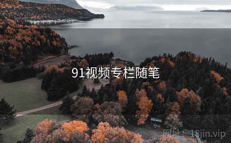 91视频专栏随笔