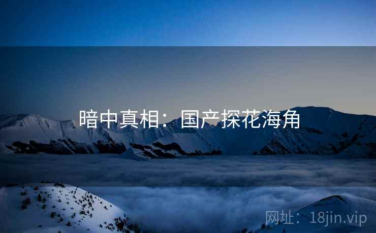 暗中真相：国产探花海角