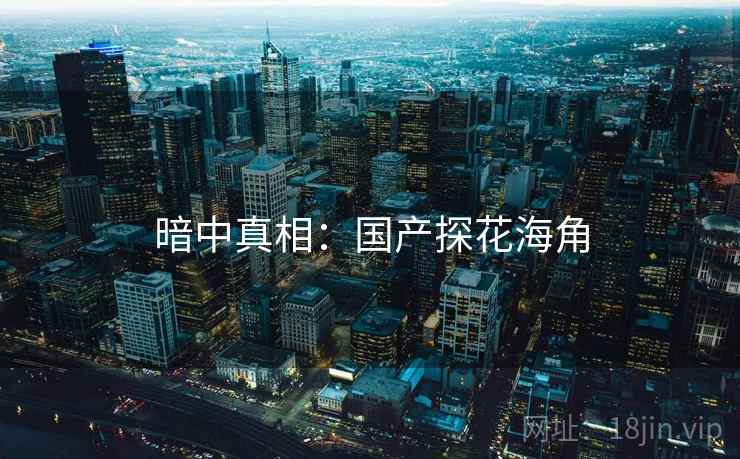 暗中真相：国产探花海角