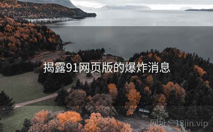 揭露91网页版的爆炸消息