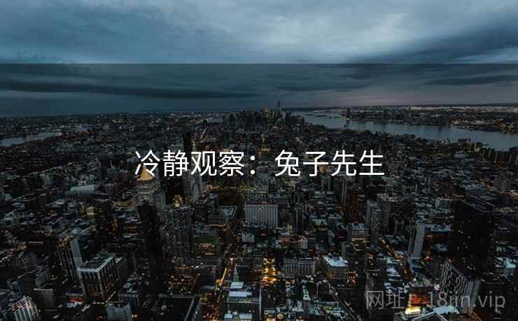 冷静观察：兔子先生
