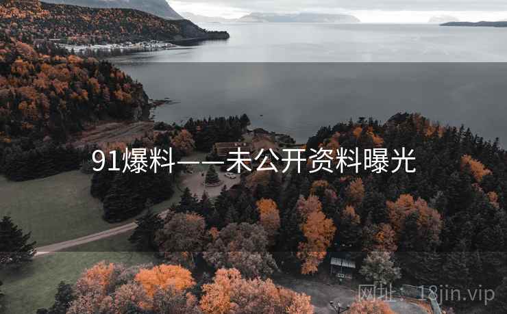 91爆料——未公开资料曝光