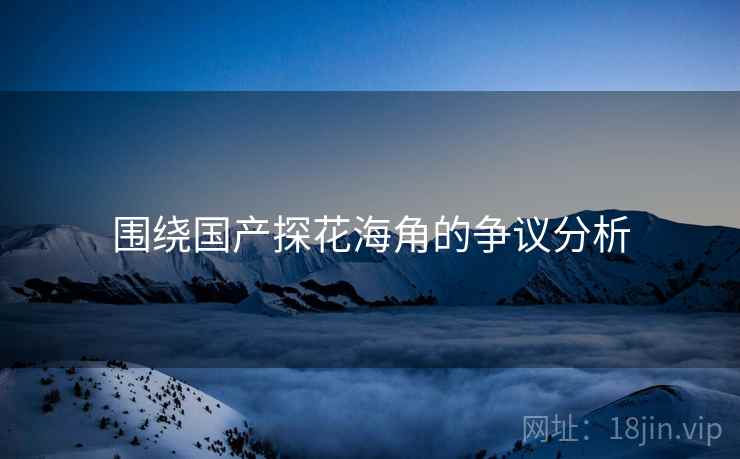 围绕国产探花海角的争议分析