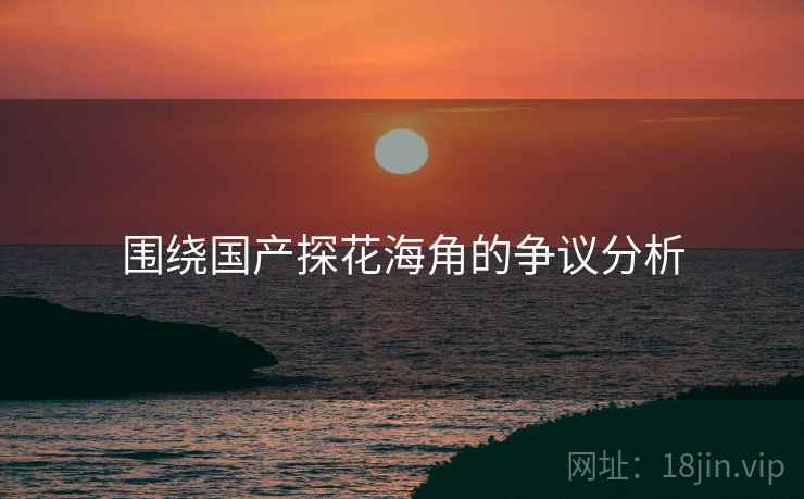 围绕国产探花海角的争议分析