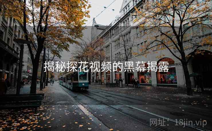 揭秘探花视频的黑幕揭露