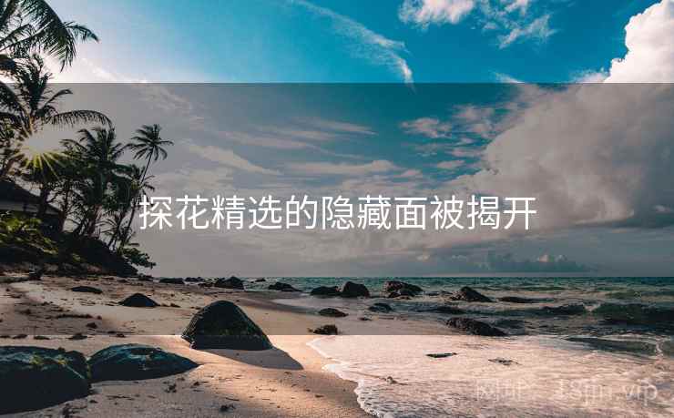 探花精选的隐藏面被揭开