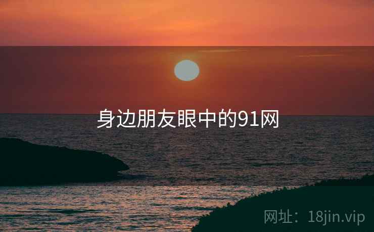 身边朋友眼中的91网