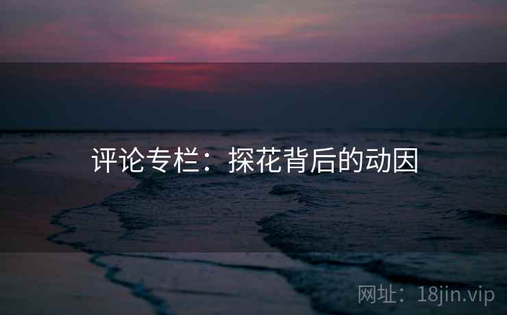 评论专栏：探花背后的动因