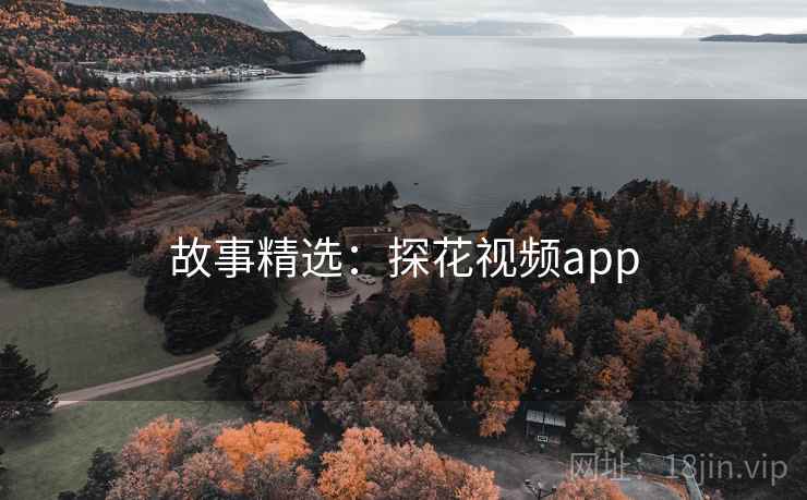 故事精选:探花视频app
