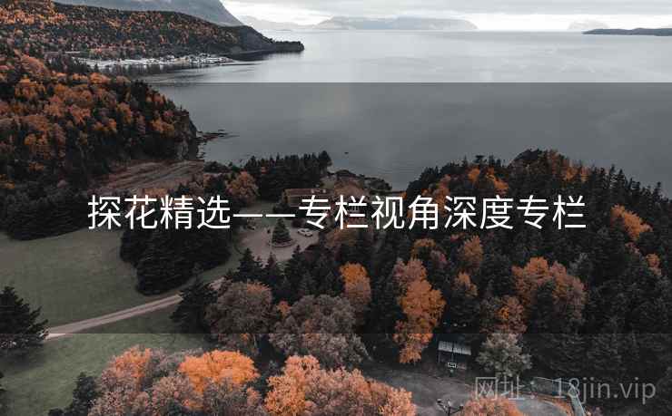探花精选——专栏视角深度专栏