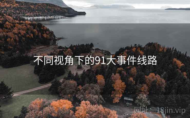 不同视角下的91大事件线路